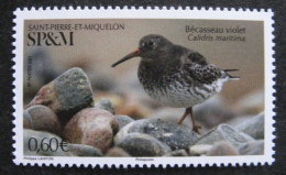 Saint Pierre Et Miquelon - YT N° 1253 ** - Neuf Sans Charnière - 2020 - Unused Stamps