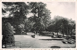 LUXEMBOURG - Dierkirch - Promenades Au Parc - Carte Postale Ancienne - Diekirch