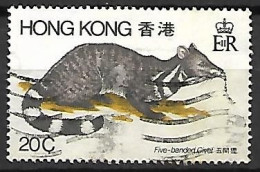 HONG KONG      -     Five-banded Civet    -    Oblitéré - Rongeurs