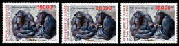 GUINEA 2023 - SET 3V - BIODIVERSITY - CHIMPANZEE CHIMPANZEES CHIMPANZE APES MONKEYS MONKEY APE SINGES - Chimpanzees