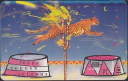 GERMANY PD6/95 Zirkus - Leopard - Modul 24 (selten)  DD: 3501 - P & PD-Series : D. Telekom Till