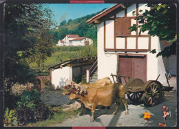 64 - Attelage  Basque - Aquitaine