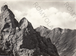 CARTOLINA  B3 TERMINILLO,RIETI,LAZIO-IL RIFUGIO UMBERTO I° VISTO DAI PASSI DELLA NEVE-VACANZA,NON VIAGGIATA (1960) - Rieti