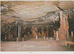 Australia VICTORIA VIC Font Of Gods & Niagara Falls In Royal Cave BUCHAN CAVES Nucolorvue BC47 Postcard C1960s - Gippsland