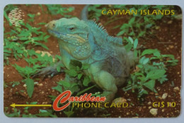 CAYMAN ISLANDS - GPT - Coded Without Control - Grand Cayman Iguana - Used - Iles Cayman