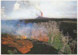 Big Island Of Hawaii, Hawaii Volcanoes National Park, Kiauea's Pu'u O'o Vent In Background, C1980s Vintage Postcard - Big Island Of Hawaii