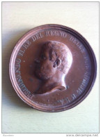 FERDINANDO II ENORME MEDAGLIONE GALVANOPLASTICA COME DA FOTO RARISSIMO - Monarchia/ Nobiltà