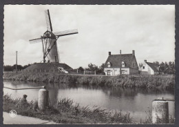 118992/ DAMME, De Molen - Damme