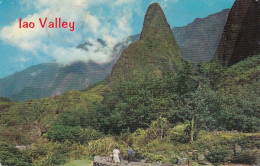 Iao Valley, Island Of Maui, Hawaii, C1960s Vintage Postcard - Maui