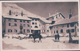 Celerina GR Sous La Neige, Skijoring, Cheval Et Skieurs (1523) - Celerina/Schlarigna