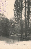 FRANCE - Paris - Bois De Vincennes -  Vue Sur Le Petit Pont Du Jeu De Boules - Carte Postale Ancienne - Parcs, Jardins