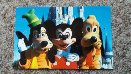 CPM DISNEYWORLD WALT DISNEY MICKEY PLUTO GOOFY YOU ARE AS WELCOME AS CAN BE 1983 - Disneyworld