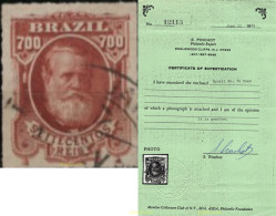 722583 HINGED BRASIL 1877 EMPERADOR PEDRO II - Unused Stamps