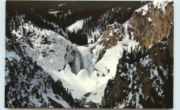 Etats-Unis - Wyoming - Lower Falls - Yellowstone National Park - Bon état - Yellowstone