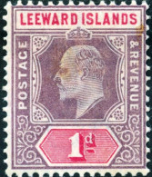 ISOLE LEEWARD, ISOLE SOTTOVENTO, RE EDOARDO VII, 1902, FRANCOBOLLI NUOVI (MNH**) Scott:GB-LW 21, Yt:GB-LW 21 - Leeward  Islands