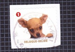 2012 Nr 4236 Gestempeld,zegel Uit Boekje B128.Gezelschapsdieren / Animaux De Compagnie. - Used Stamps