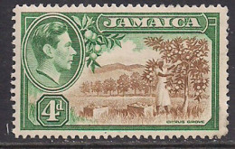 Jamaica 1938 KGV1 4d Citrus Grove Lmm SG 127 ( A1465 ) - Jamaïque (...-1961)