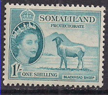 Somaliland 1953 QE2 1/- Blackhead Sheep MH SG 144 ( L592 ) - Somaliland (Protectorat ...-1959)