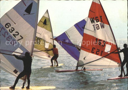 72148065 Segeln Windsurfen Balaton   - Sailing
