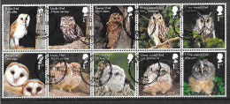 2018 Owls Used Set HRD2-B - Gebraucht