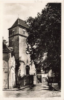 FRANCE - Salies De Béarn - L'Eglise St Vincent  - Carte Postale Ancienne - Salies De Bearn