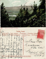 ARGENTINA 1911 POSTCARD SENT TO MAR DEL PLATA - Covers & Documents