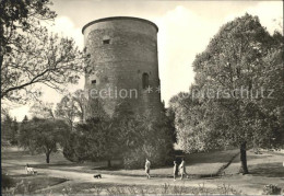 72041427 Salzwedel Burggarten Turm Salzwedel - Salzwedel