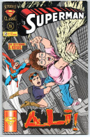 Superman Classic (Play Press 1995) N. 17 - Super Héros