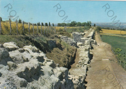 CARTOLINA  B9 VIBO VALENTIA,CALABRIA-I RUDERI DELL'ANTICA IPPONION-STORIA,MEMORIA,CULTURA,BELLA ITALIA,VIAGGIATA 1967 - Vibo Valentia