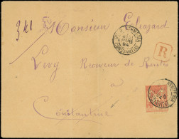 Let LETTRES ET OBLITERATIONS D'ALGERIE - N°94 Obl. Càd OUED ATHMENIA 21/3/94 S. Env. Rec. Pour Constantine 22/3, TB - 1877-1920: Semi-Moderne