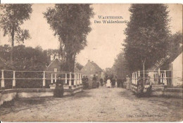 WACHTEBEKE DEN WALDERDONCK 1911 Stempel  594  D1 - Wachtebeke