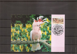 Perroquets ( CM D'Australie De 1993 à Voir) - Parrots