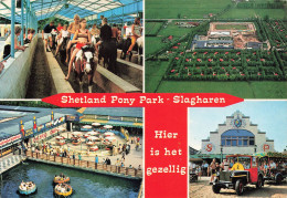 ROYAME-UNI - Shetland Pony Park Slangharen - Hier Is Het Gezellig - Carte Postale - Shetland