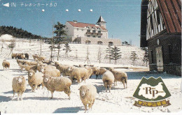 TARJETA DE JAPON DE UNAS OVEJAS (OVEJA-SHEEP) - Andere & Zonder Classificatie