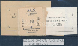 Szovjetunió ~1980. 12db Klf Kolhoz Elszámolási Jegy T:II,III Soviet Union ~1980. 12pcs Of Diff Kolkhoz Notes C:XF,F - Zonder Classificatie