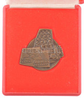 ~1970. "Magyar Néphadsereg" Fegyvernemeket ábrázoló Bronz Emlékplakett Eredeti, Sérült Tokban (38x37mm) T:UNC - Non Classés