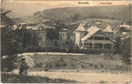 T2 1909 Borszék, Borsec; Villa Szini - Non Classés