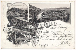 T2/T3 1894 (Vorläufer!) Celje, Cilli; Burgruine Ober-Cilli, Waldhaus Mit Dem Sannbad, Seidl Quelle / Castle Ruins, Spa,  - Non Classés