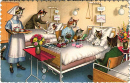 * T3 Cats In The Cat Hospital. Alfred Mainzer 4879. (ragasztónyom / Glue Marks) - Non Classés