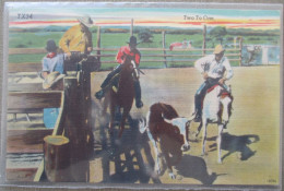 USA FAR WEST COWBOY LIFE HORSE DESERT CATTLE KARTE CARD POSTCARD CARTE POSTALE POSTKARTE CARTOLINA ANSICHTSKARTE - Long Beach