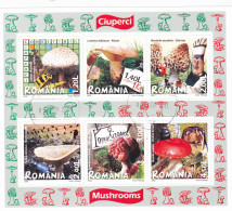 Romania Block417 (complete Issue)  2008 Mushrooms  Souvenir Sheet Used - Oblitérés