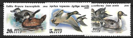 Russia CCCP - MNH** Complete 1991 Set 3/3 :    Northern Pintail + Greater Scaup + Ruddy Duck And  White-headed Duck - Ducks