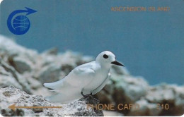 ASCENSION ISL.(GPT) - Fairy Tern, CN : 1CASC, First Issue 10 Pounds, Tirage 8426, Used - Ascension (Ile De L')