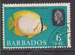 Barbados 1965 QE2 6cents  Coral SG 327 Used ( K517 ) - Bahrain (...-1965)