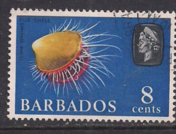 Barbados 1965 QE2 8cents  Coral SG 328 Used ( K700 ) - Bahrain (...-1965)