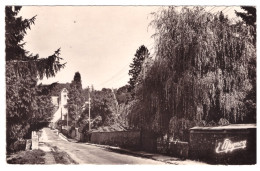 SAINT LEGER EN YVELINES - Route De Montfort L'Amaury  (carte Photo) - St. Leger En Yvelines