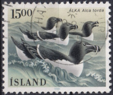 1986 Island > 1944-... Republik ° Mi:IS 647, Sn:IS 621, Yt:IS 600, Razorbill (Alca Torda), Vögel - Used Stamps