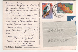 Timbre , Stamp " Oiseau : Halcyon Senegalensis ; Poisson : Cephalophode Minista  " Sur CP , Carte , Postcard De 2004 - Briefe U. Dokumente