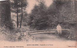 BOISSY L'AILLERIE-passerelle Sur La Viosne - Boissy-l'Aillerie