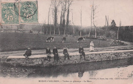 BOISSY L'AILLERIE-vaches Au Pâturage-la Mare - Boissy-l'Aillerie